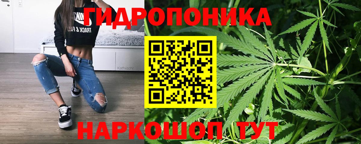 Каннабис White Widow  Каннабис THC 21%  Шишки марихуана Ganja  Вход с VPN  Елабуга  Марихуана гибрид 